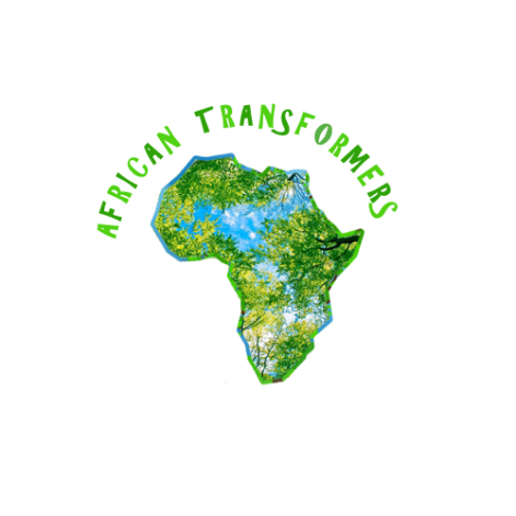 African Transformers new Logo